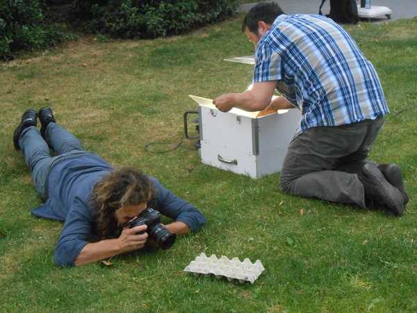 In de tuin van Bart Holvoet: zoomvlekspanner, een zeer zeldzame soort