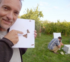 Twee grote beren! (foto Anneleen Van Nylen)