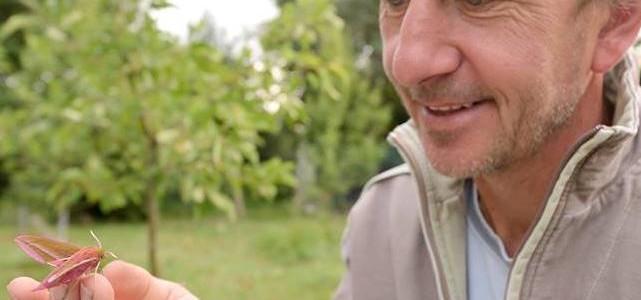 In de tuin van hommelprof Dave Goulson, Zuid-Engeland: 170 soorten!